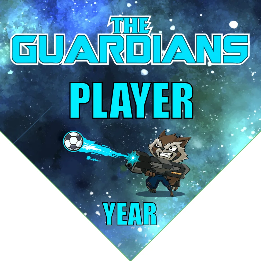 The Guardians Soccer Banner-soccer-field-banners-picture