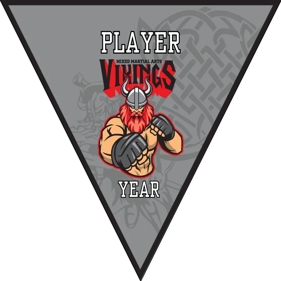 Vikings 1 Soccer Banner-soccer-banner-picture