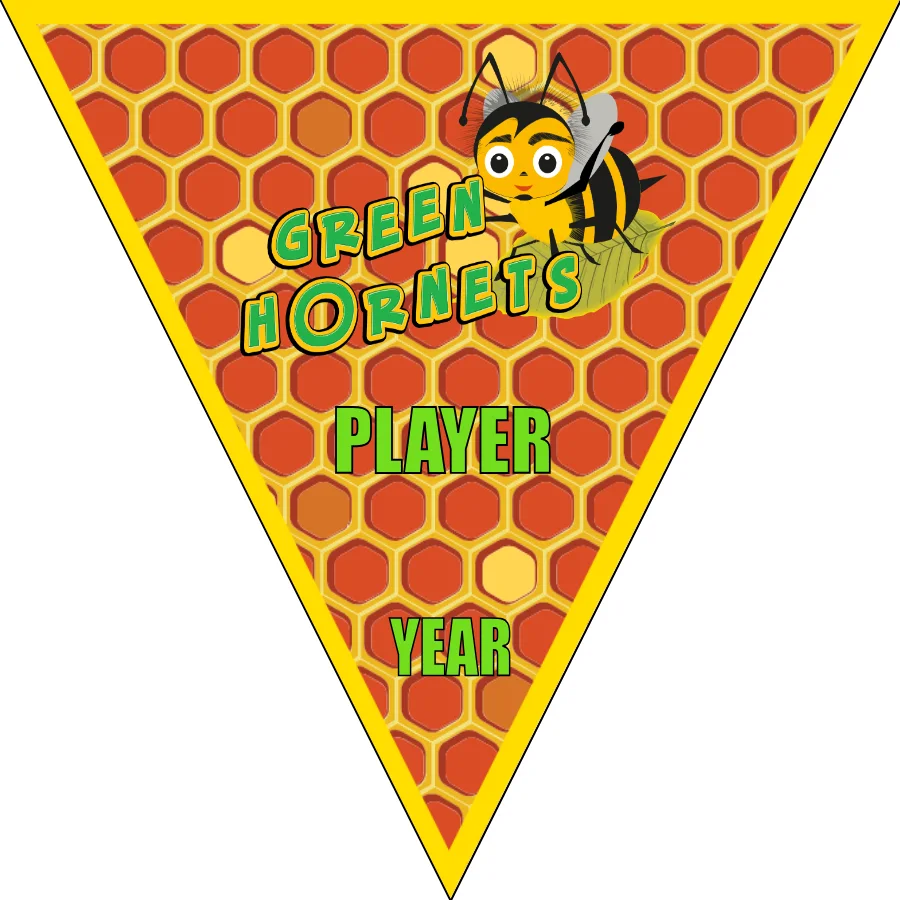 Green Hornet Soccer Banner-soccer-banners-picture
