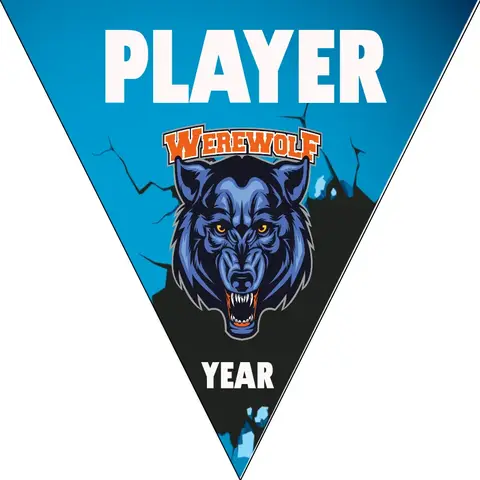 Werewolf Softball Banner-diy-softball-banner-picture
