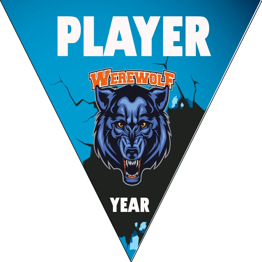 Werewolf Softball Banner-diy-softball-banner-picture