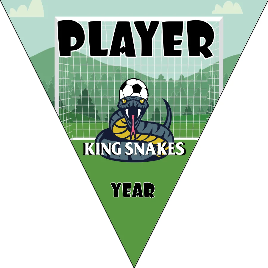 KING SNAKES Soccer Banner-nike-soccer-banner-picture