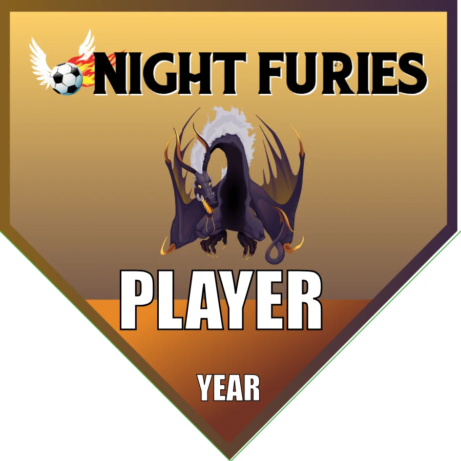 Night Furies Soccer Banner-soccer-team-banner-picture