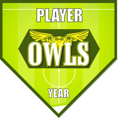 Owls Soccer Banner-soccer-team-banner-picture