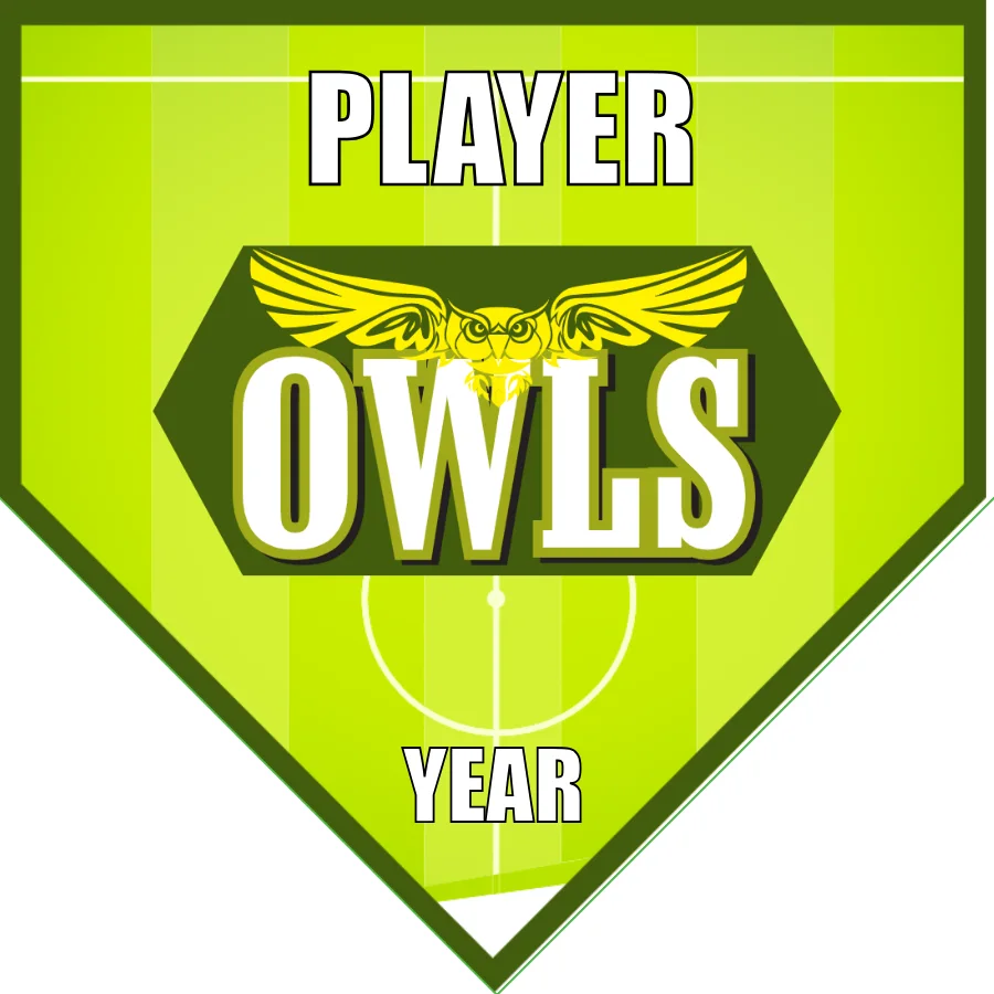 Owls Soccer Banner-soccer-team-banner-picture