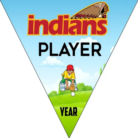 Indians 1 Softball Banner-custom-softball-banner-images