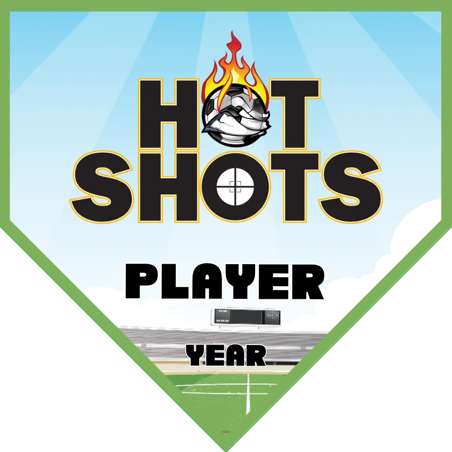 Hot Shots Soccer Banner-soccer-banner-websites-picture