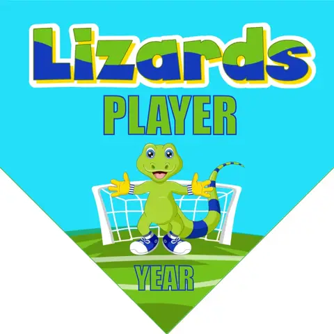 Lizards Soccer Banner-soccer-team-banners-picture