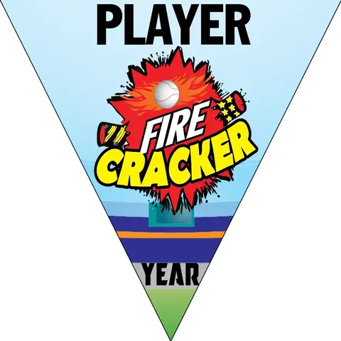 Firecracker Softball Banner-softball-dugout-banner-images