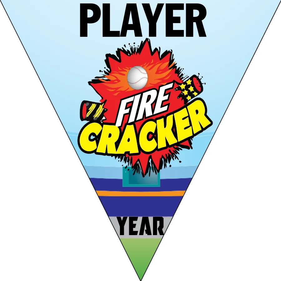 Firecracker Softball Banner-softball-dugout-banner-images