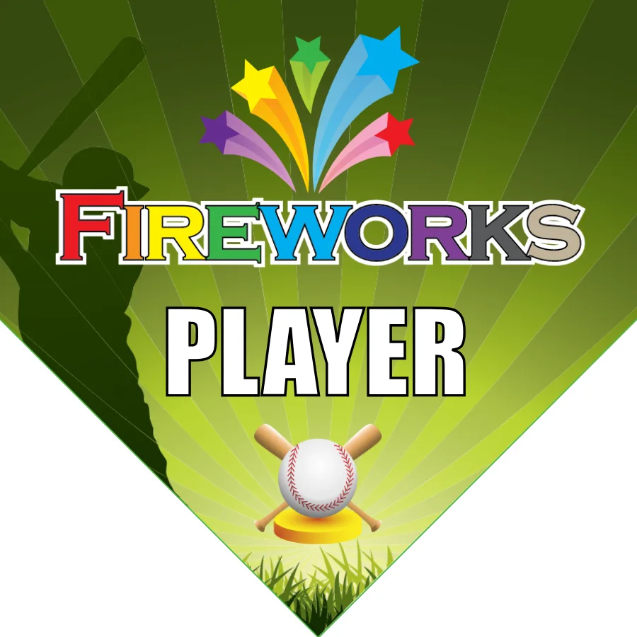 Fireworks 2 Softball Banner-softball-banner-design-ideas-images