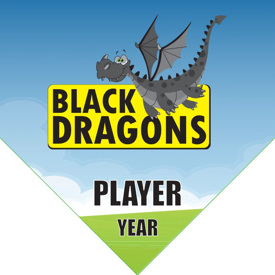 Black Dragons Soccer Banner-making-a-felt-soccer-banner-picture