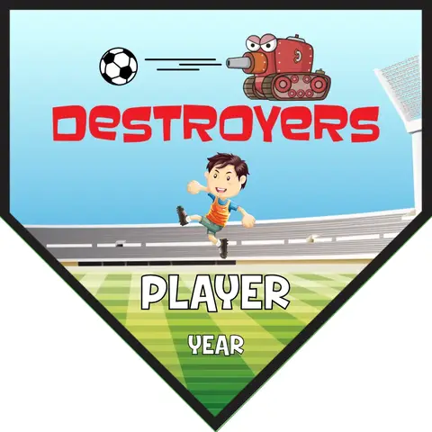 Destroyed Soccer Banner-pvc-soccer-banner-frame-picture