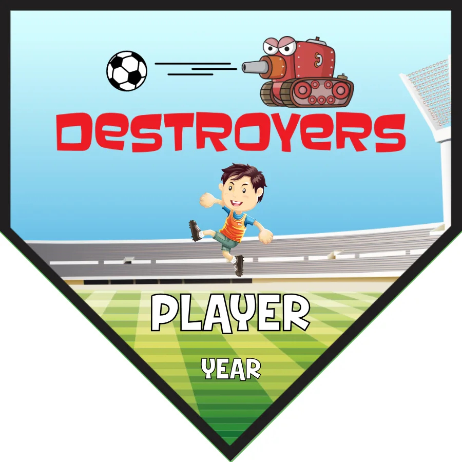 Destroyed Soccer Banner-pvc-soccer-banner-frame-picture