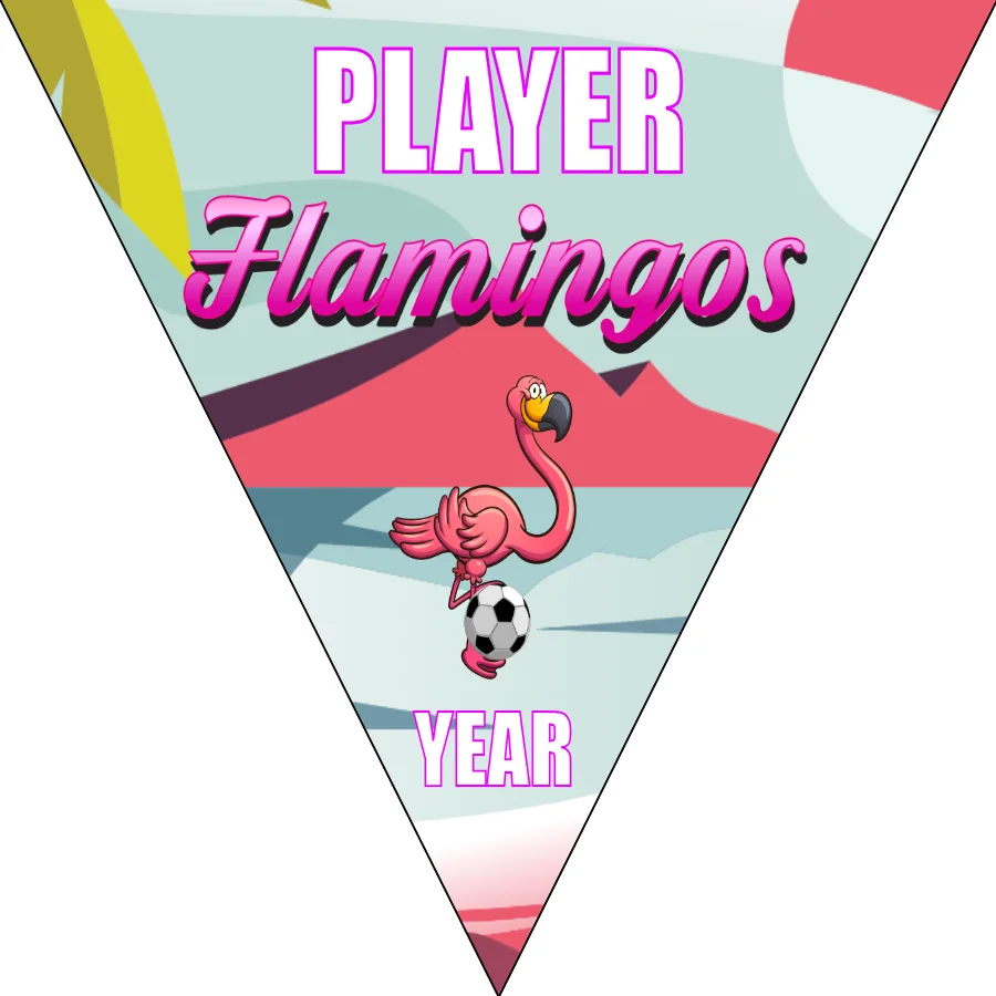 Flamingos Soccer Banner-soccer-banner-printing-picture