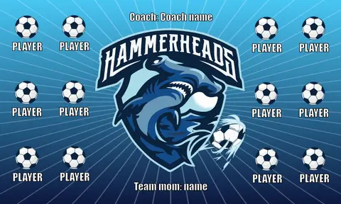 Hammerheads Soccer Banner-image-banner-soccer