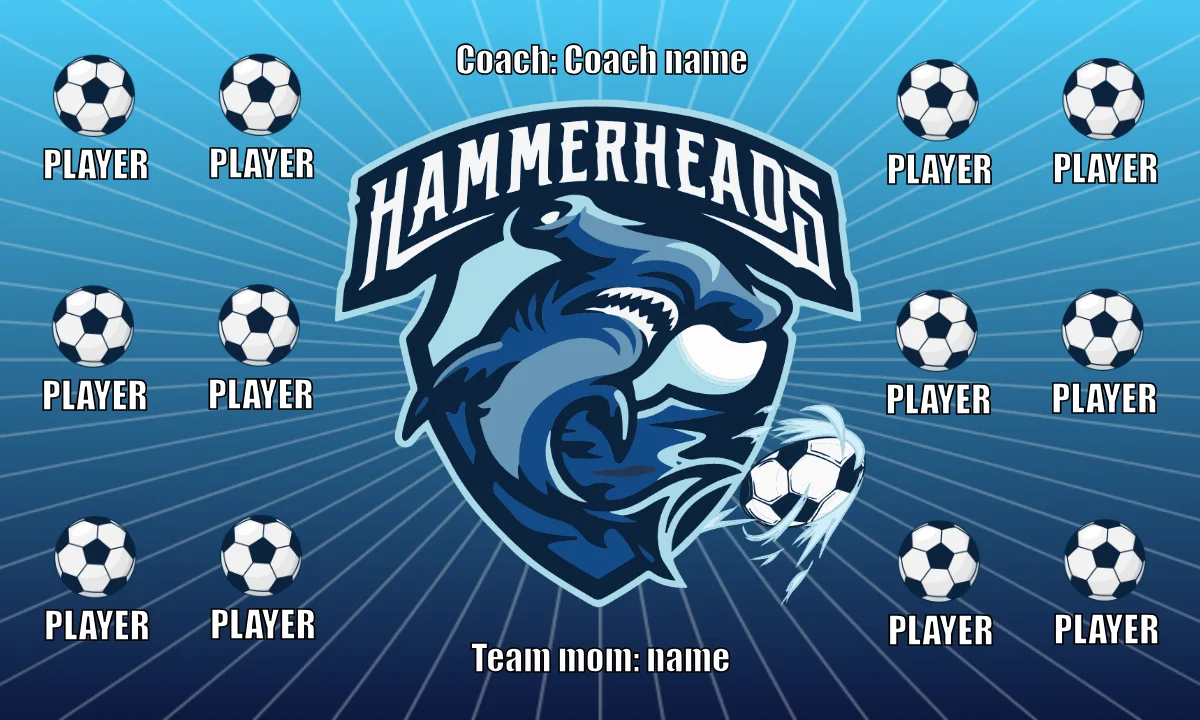 Hammerheads Soccer Banner-image-banner-soccer