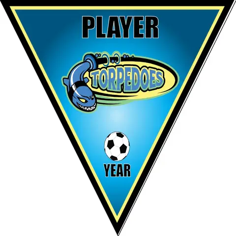 Torpedoes 2 Soccer Banner-soccer-banners-picture