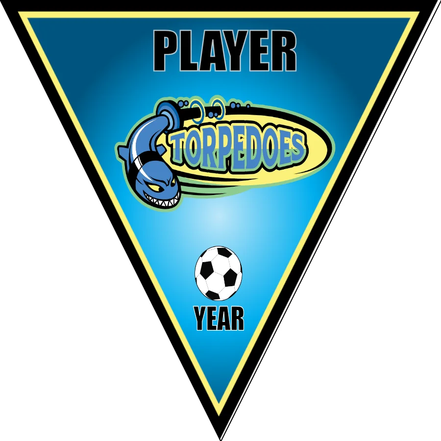 Torpedoes 2 Soccer Banner-soccer-banners-picture