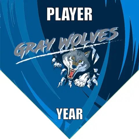 Wolves Gray Soccer Banner-soccer-team-banners-ayso-picture
