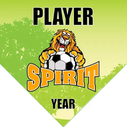 Spirits Soccer Banner-soccer-banner-picture