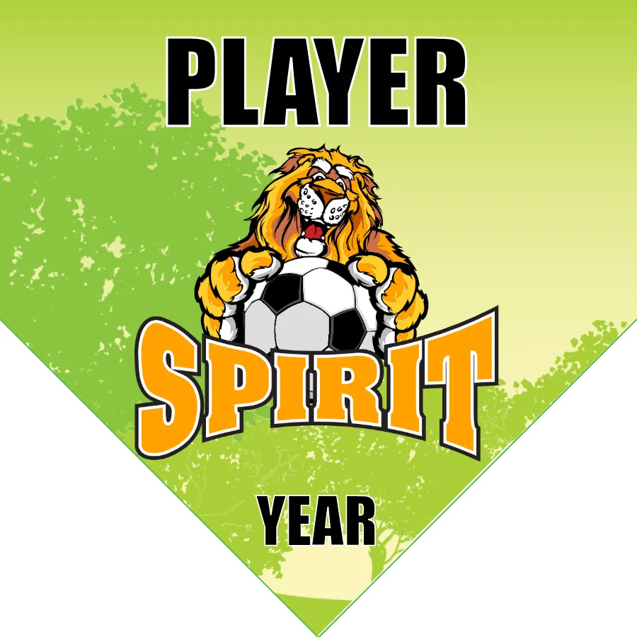 Spirits Soccer Banner-soccer-banner-picture