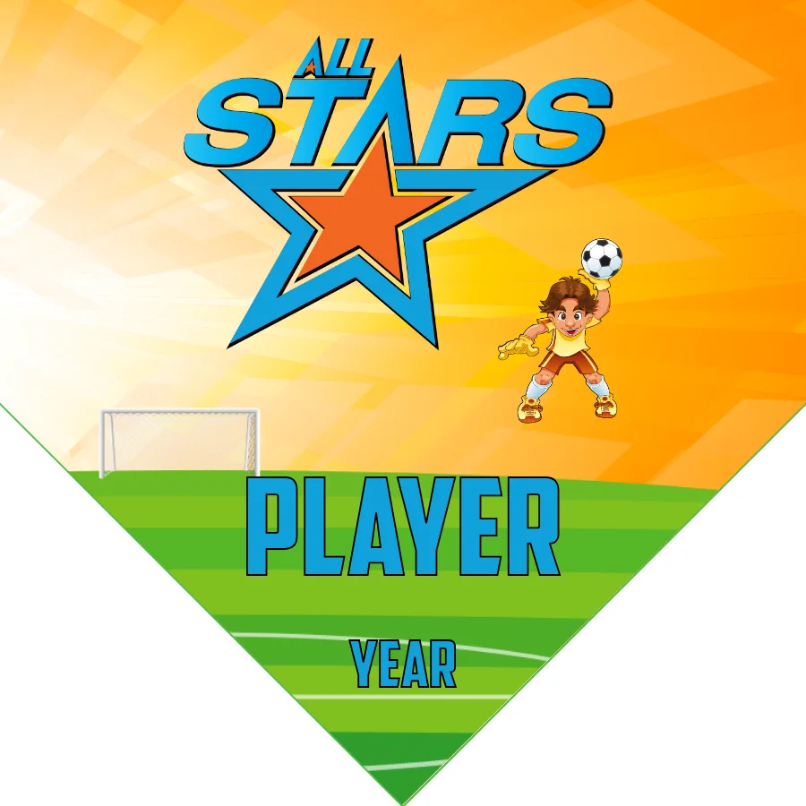 All Stars 1 Soccer Banner-soccer-team-banners-picture
