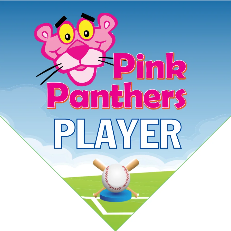 Pink Panthers 2 Softball Banner-softball-vinyl-banners-images