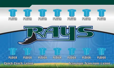Rays Baseball Banner-baseball-banner-team-pictures-images