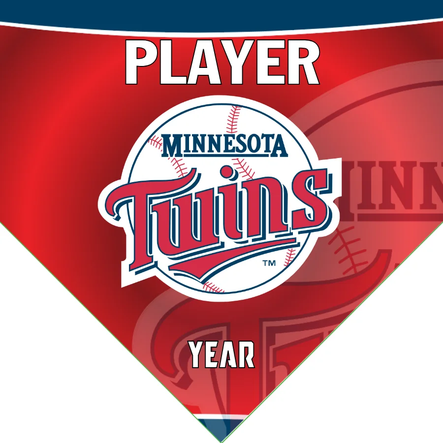 Twins Baseball Banner-baseball-banner-size-images