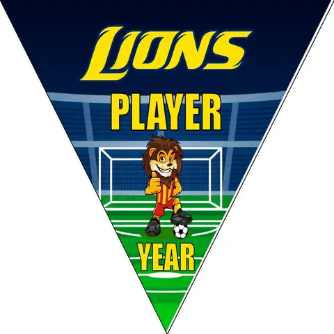Lions 5 Soccer Banner -soccer-team-banner-picture