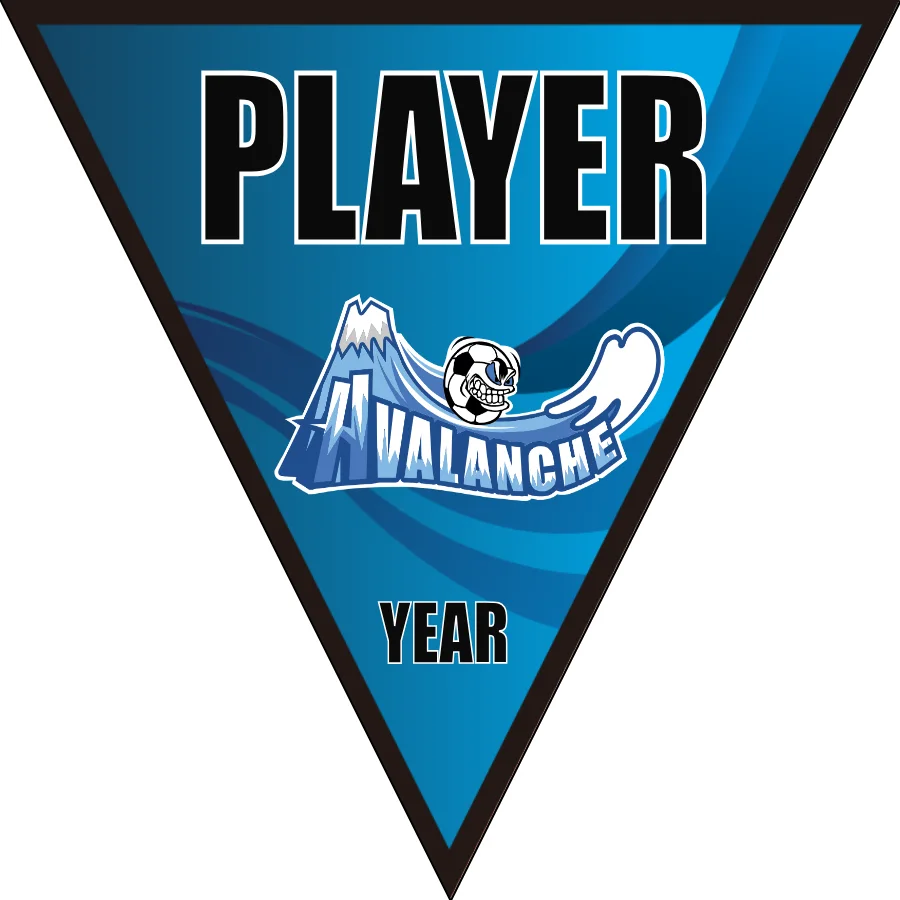 Avalanche Soccer Banner-soccer-banners-airbrush-picture