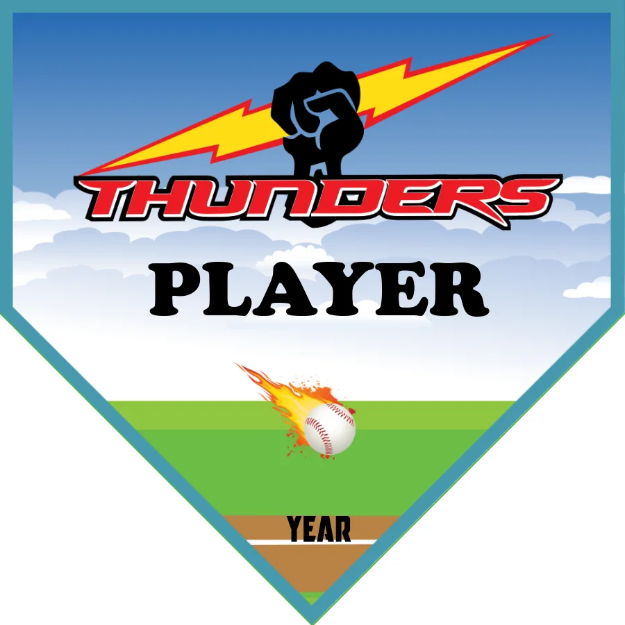Thunders 2 Softball Banner-softball-banner-fail-picture