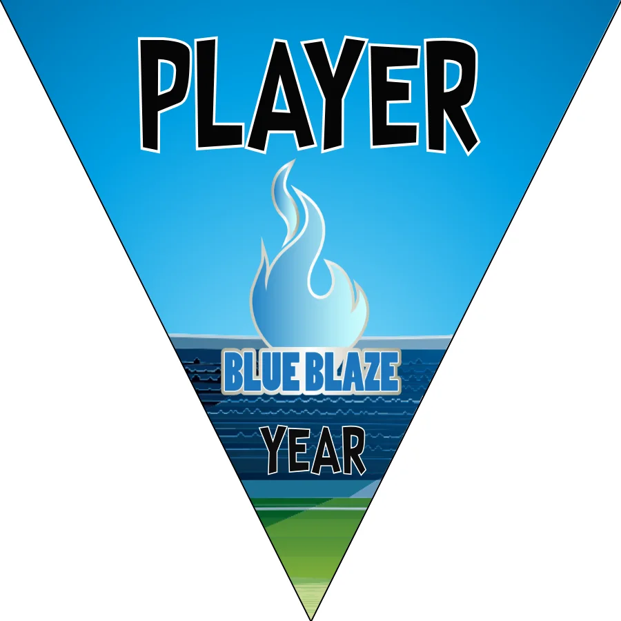 Blue blaze Soccer Banner-minions-soccer-banner-picture