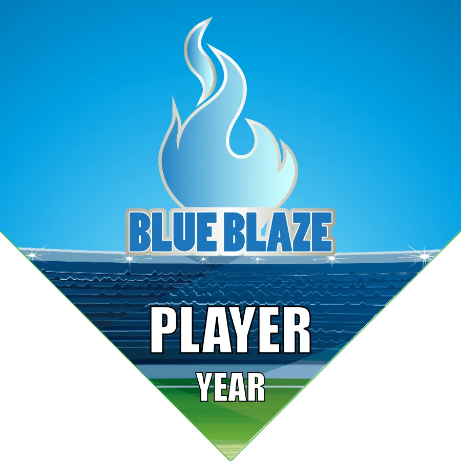 Blue blaze Soccer Banner-custom-soccer-banner-designs-picture