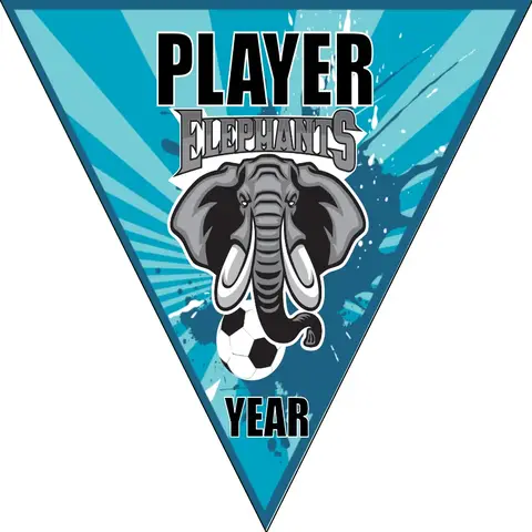 Elephents Soccer Banner-soccer-ball-banner-picture