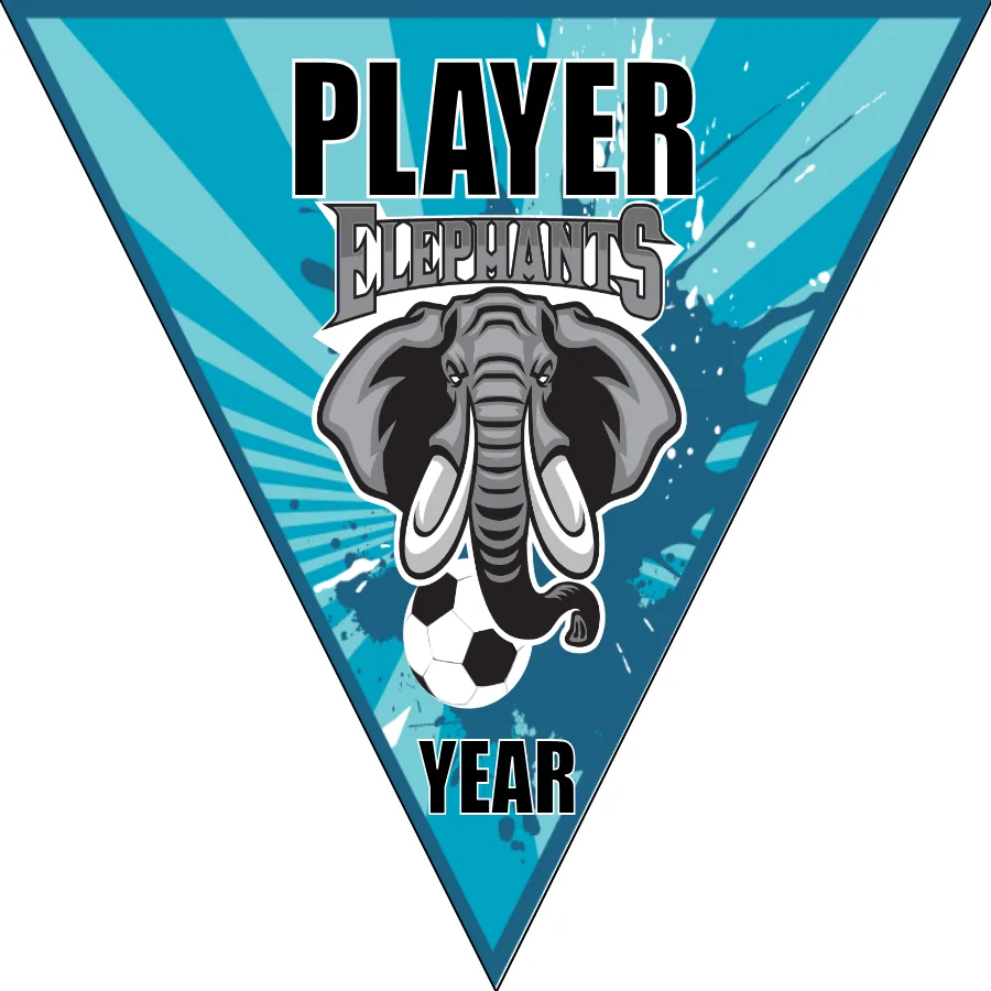 Elephents Soccer Banner-soccer-ball-banner-picture