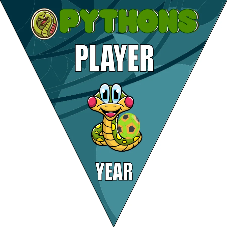 Pythons 2 Soccer Banner-soccer-banners-ideas-picture