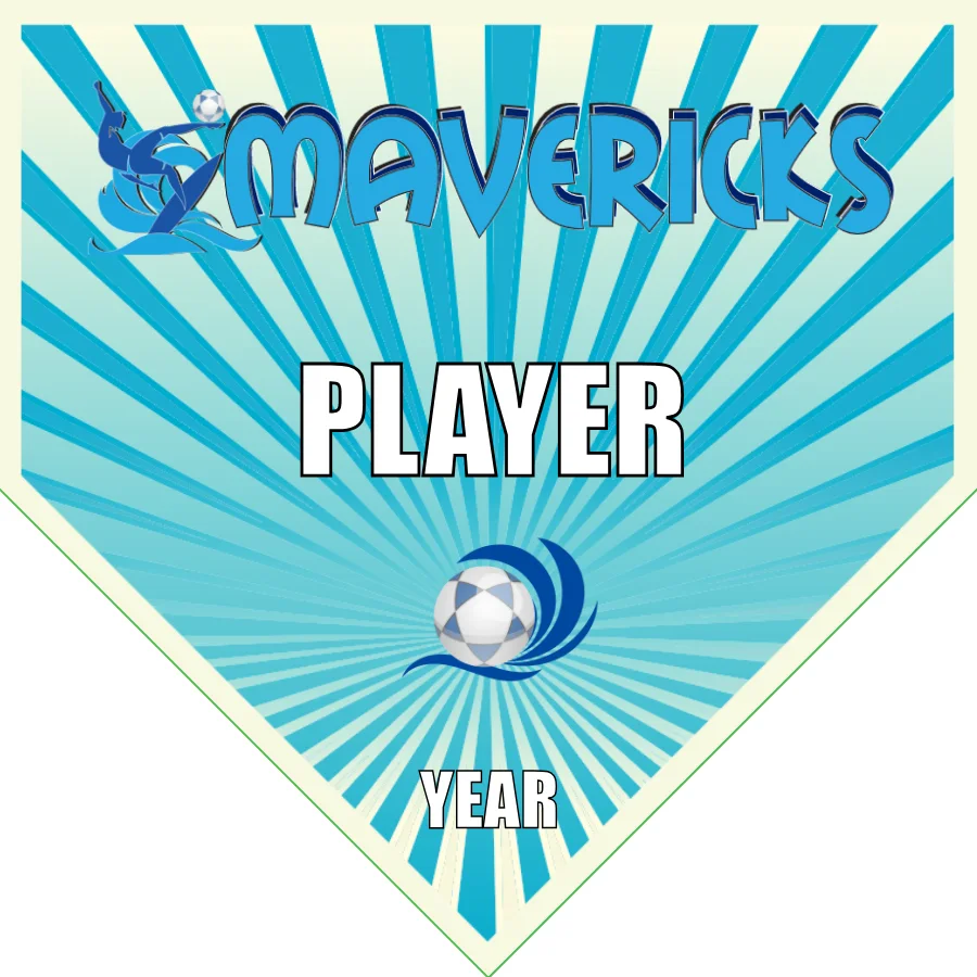 Mavericks 2 Soccer Banner-soccer-team-banner-picture
