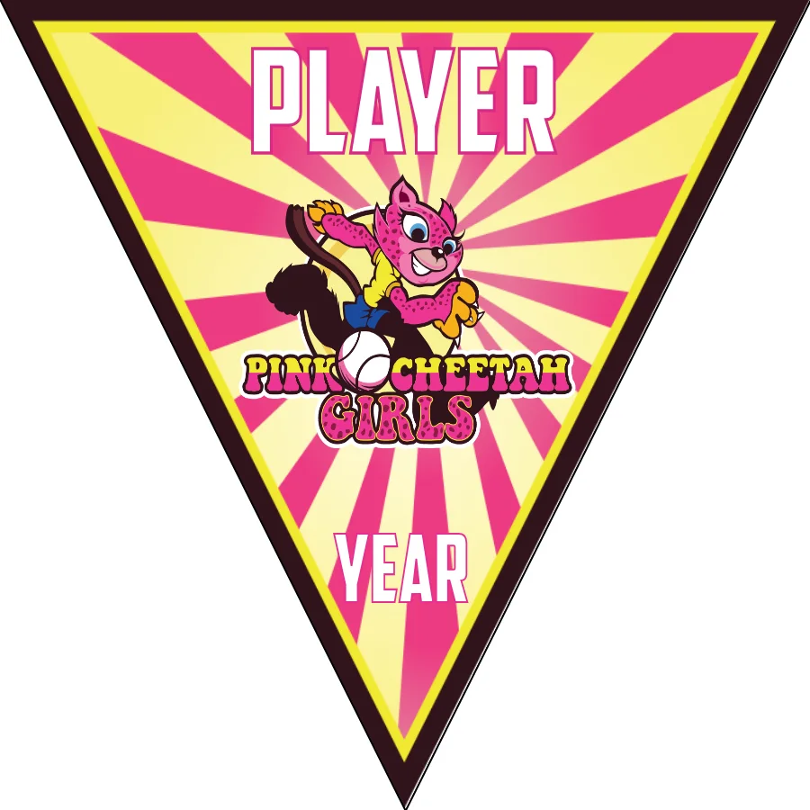 Pink Cheetah Girlz-pink-yellow-triangle-softball-banner-pictures-picture