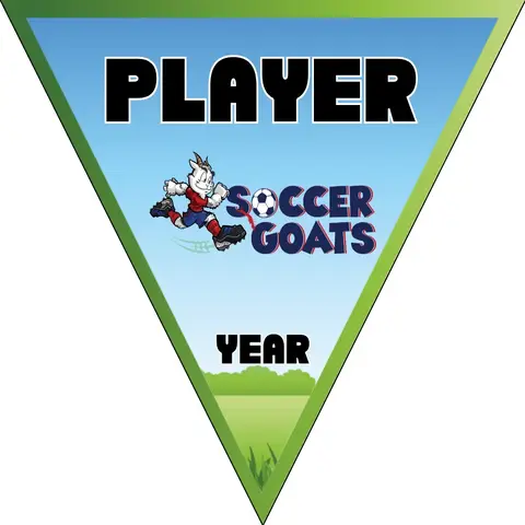 Goats Soccer Banner-making-a-soccer-banner-picture
