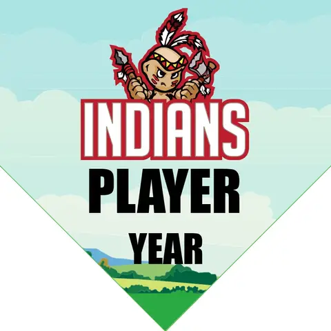 Indians 2 Softball Banner-softball-parade-banner-ideas-images