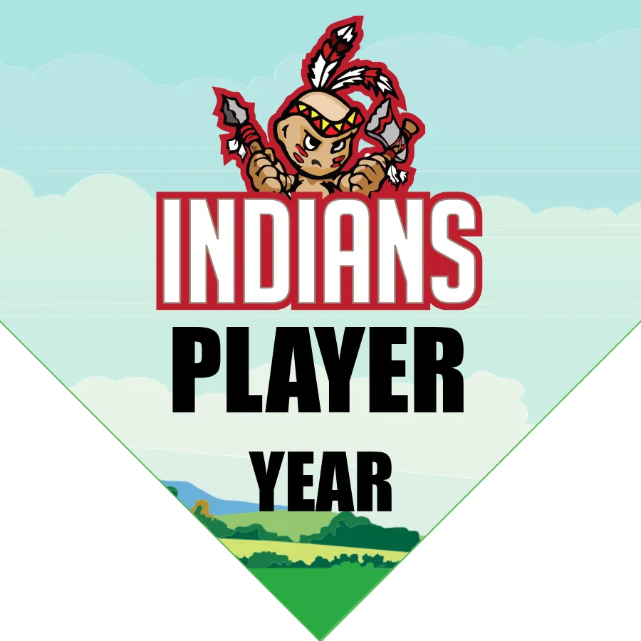 Indians 2 Softball Banner-softball-parade-banner-ideas-images