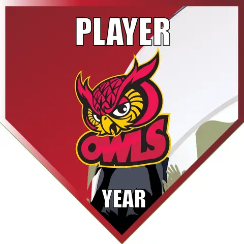 Owls 2 Soccer Banner-soccer-team-banner-picture