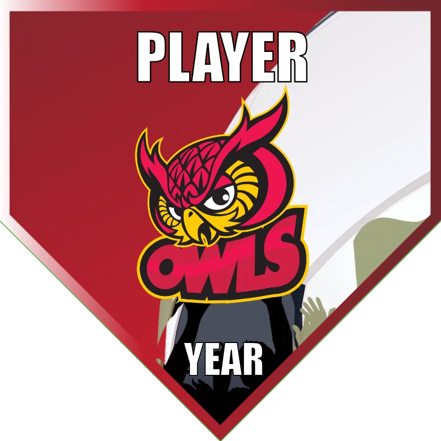 Owls 2 Soccer Banner-soccer-team-banner-picture