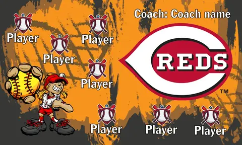 Cincinnati Reds Baseball Banner-baseball-dugout-banners-images