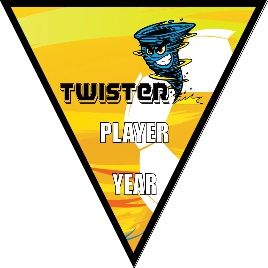 Twister Soccer Banner-soccer-banner-stand-pvc-picture