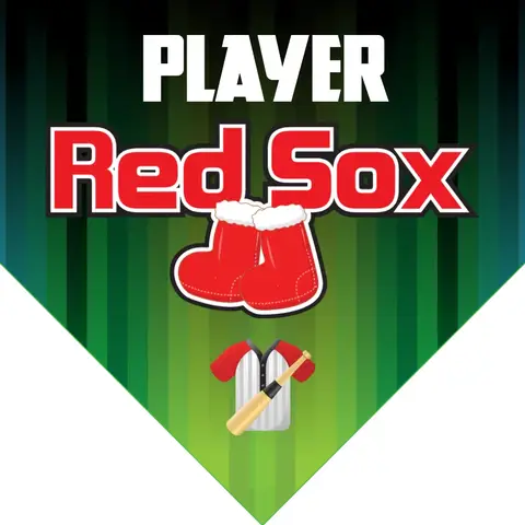 Red Sox 1 Softball Banner-best-softball-banners-images