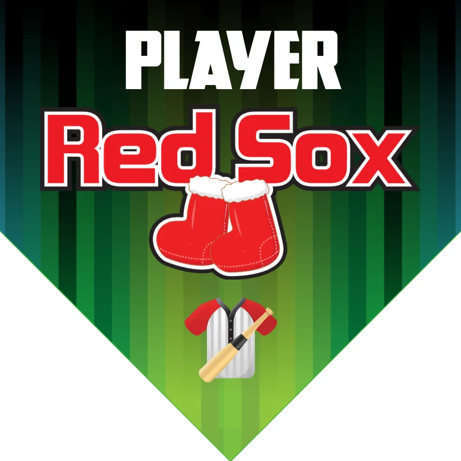 Red Sox 1 Softball Banner-best-softball-banners-images
