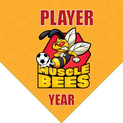 Muscle Bees Soccer Banner-soccer-banner-ideas-picture